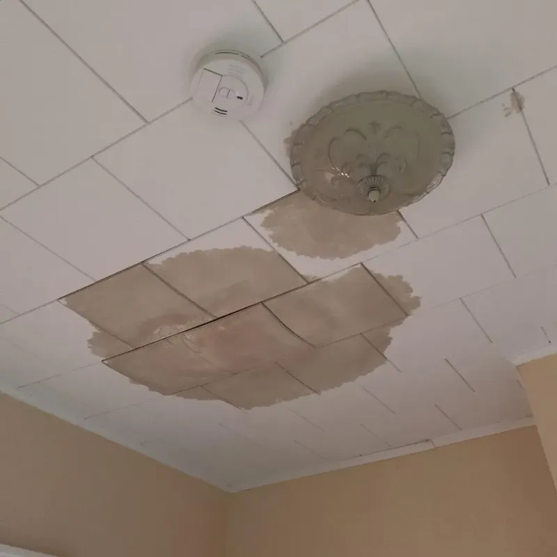 Ceiling Water Damage Repair in Carver, MA