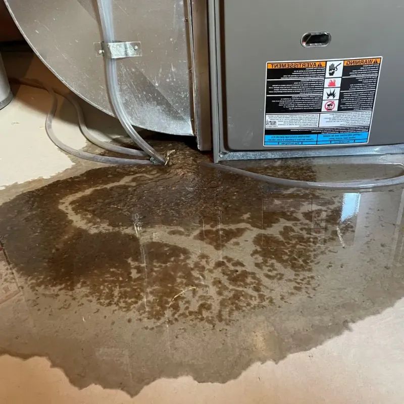 Pipe Burst and Leak Restoration in Carver, MA