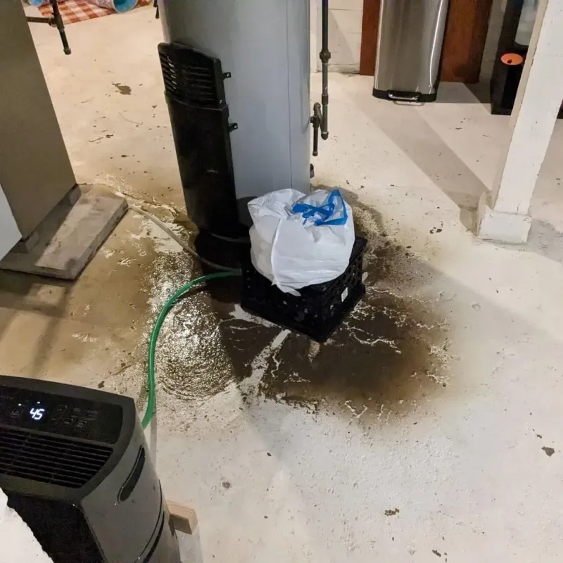 Sewage Backup Cleanup Service in Carver, MA